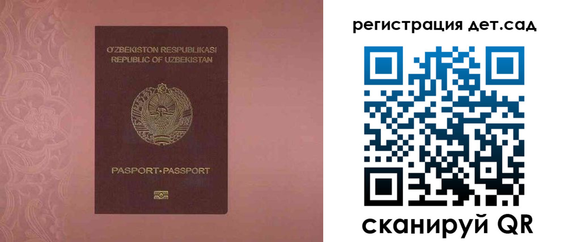 прописка ребенка в Светлом